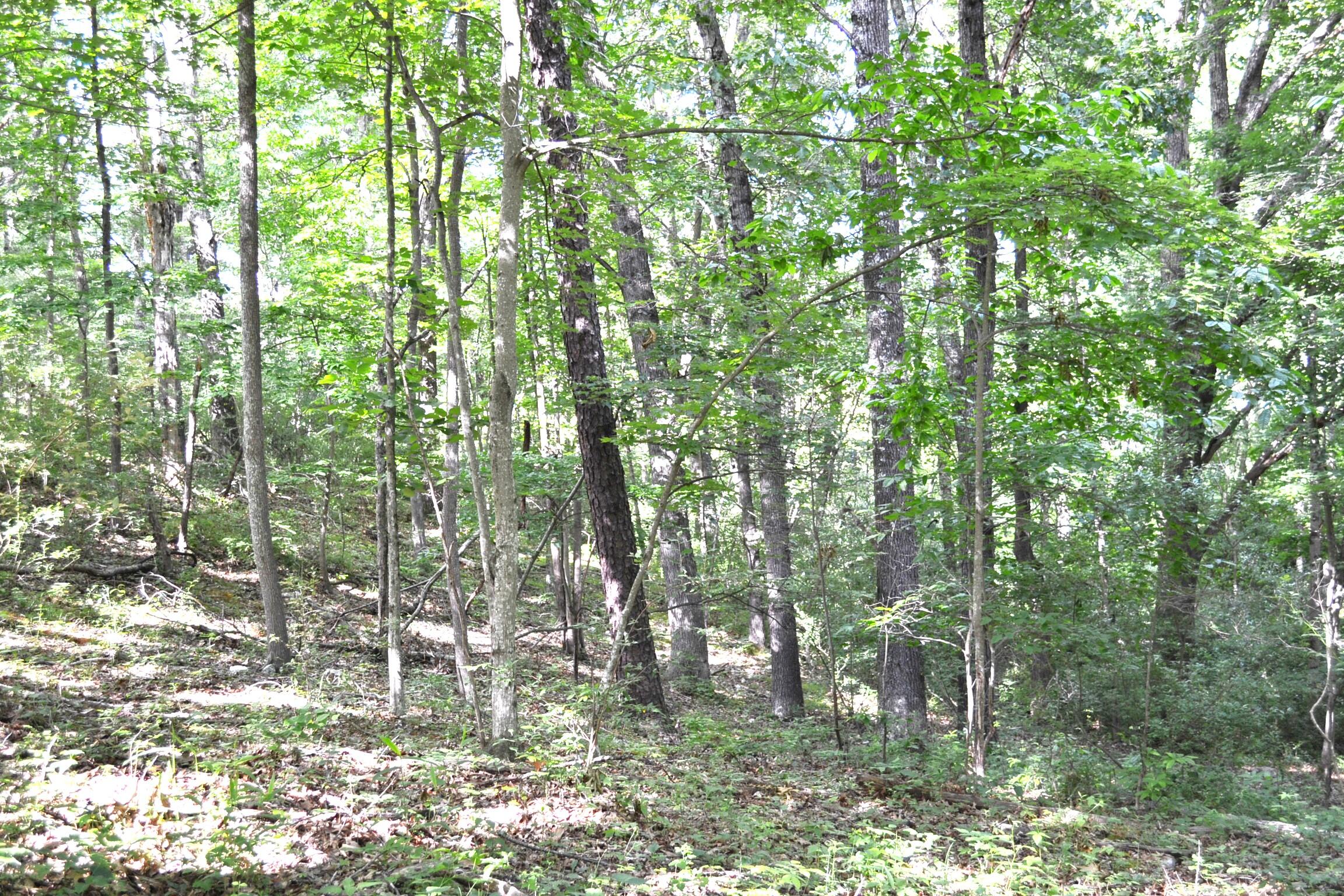 1546 Wilson Mill Road Peterstown, WV 24963 - Photo 14 of 35 Gallery Image 14