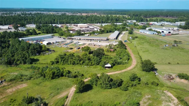 a view of a garden with a pathway
