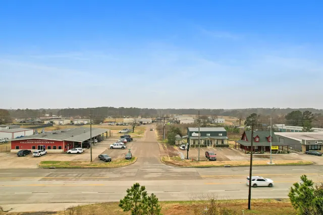 an aerial view of residential houses with outdoor space and trees