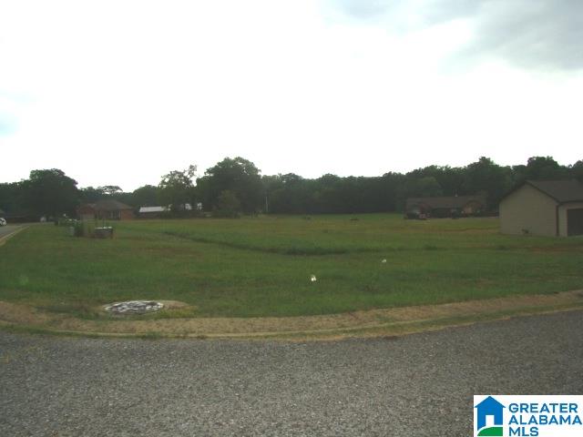 0 Bella Ridge, Unit 111 Lincoln, AL 35096 - Photo 3 of 12