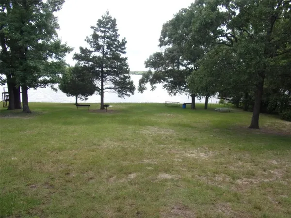 a view of a field with a tree