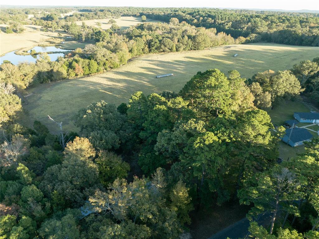 840 Oak Meadow Drive Murchison, TX 75778 - Photo 6 of 27 a view of lake view and mountain view