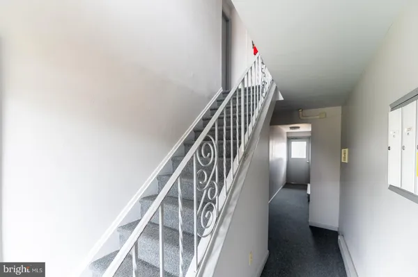 a view of a yard with a plants and trees