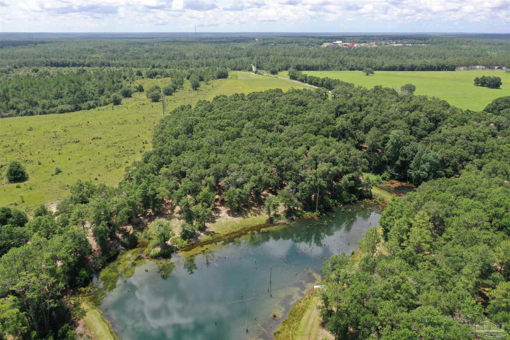 4929 Gilmore Road, Unit LOT 5 Holt, FL 32564 - Photo 6 of 11