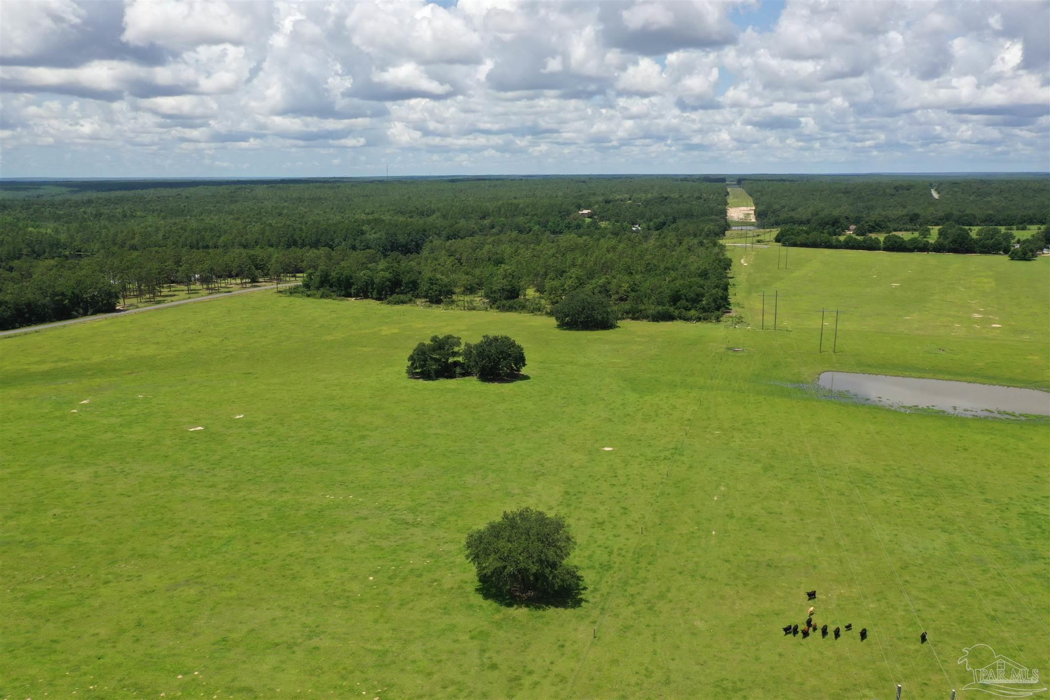 4929 Gilmore Road, Unit LOT 5 Holt, FL 32564 - Photo 9 of 11