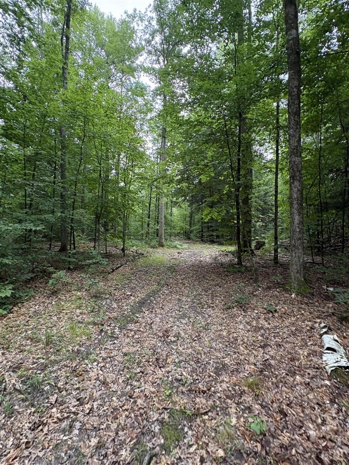 5 5 Mile Road Howard City, MI 49329 - Photo 55 of 99 Gallery Image 55