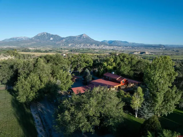 a view of a forest with a mountain in the background