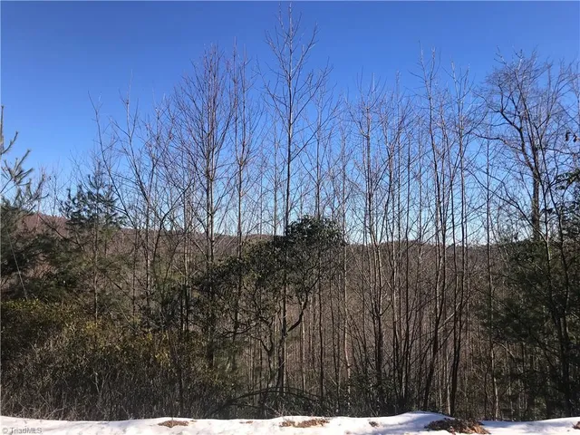 $249,900 | Tbd Fletchers Cove Road, Purlear, NC 28665