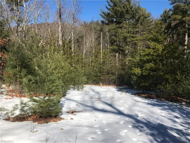 $249,900 | Tbd Fletchers Cove Road, Purlear, NC 28665