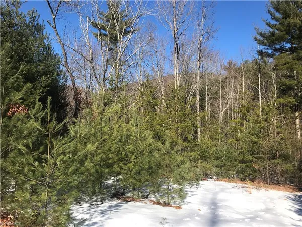 $249,900 | Tbd Fletchers Cove Road, Purlear, NC 28665