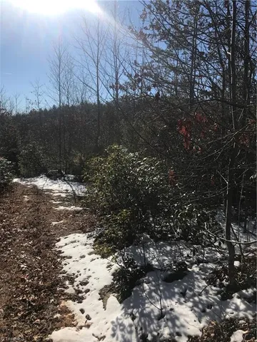 $249,900 | Tbd Fletchers Cove Road, Purlear, NC 28665