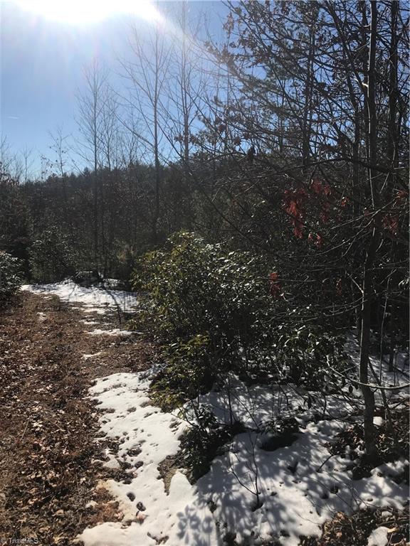 Tbd Fletchers Cove Road Purlear, NC 28665 - Photo 13 of 36