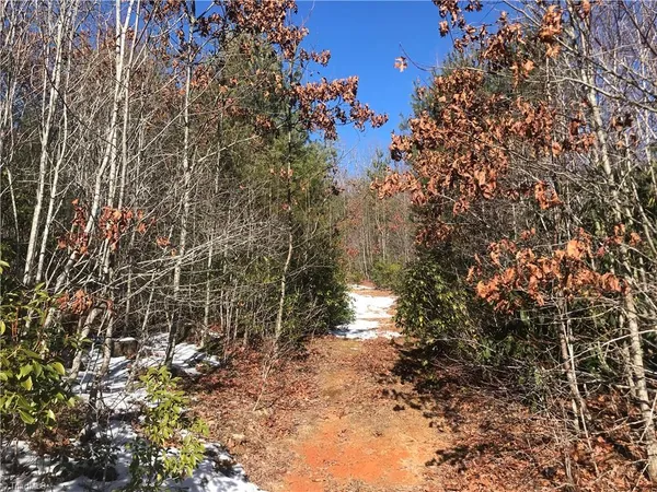 $249,900 | Tbd Fletchers Cove Road, Purlear, NC 28665