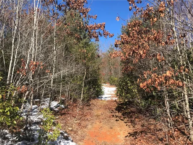 $249,900 | Tbd Fletchers Cove Road, Purlear, NC 28665