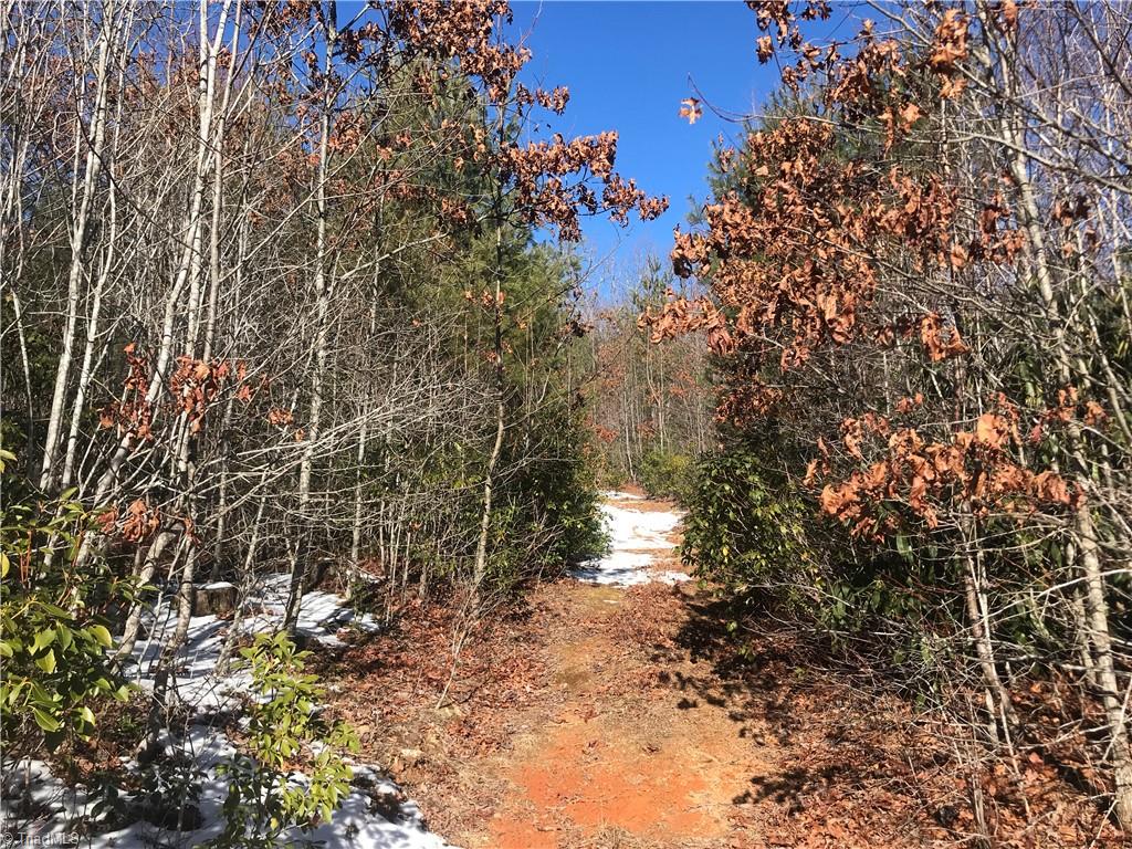 Tbd Fletchers Cove Road Purlear, NC 28665 - Photo 14 of 36