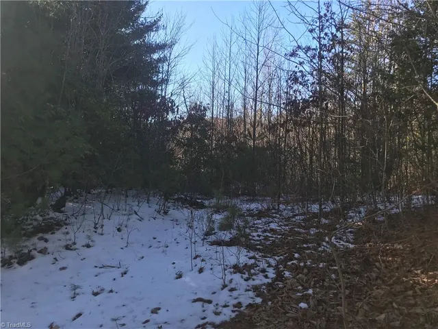 $249,900 | Tbd Fletchers Cove Road, Purlear, NC 28665