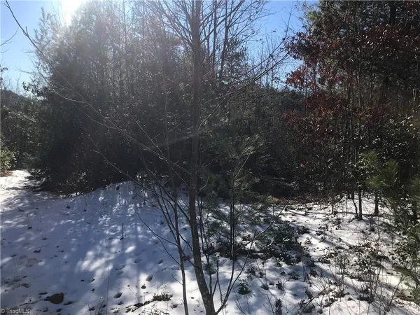 $249,900 | Tbd Fletchers Cove Road, Purlear, NC 28665