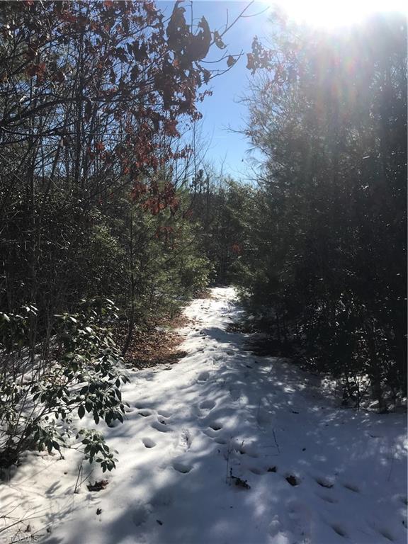 Tbd Fletchers Cove Road Purlear, NC 28665 - Photo 17 of 36