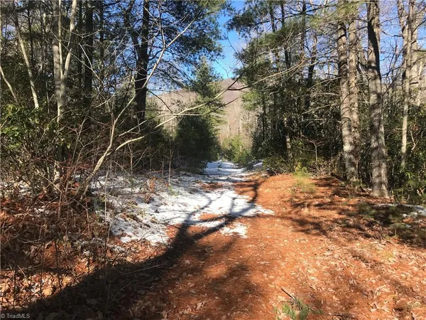 $249,900 | Tbd Fletchers Cove Road, Purlear, NC 28665