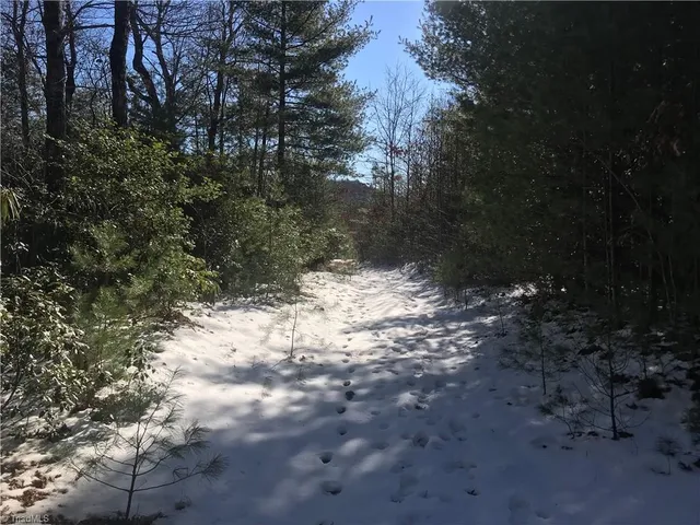 $249,900 | Tbd Fletchers Cove Road, Purlear, NC 28665