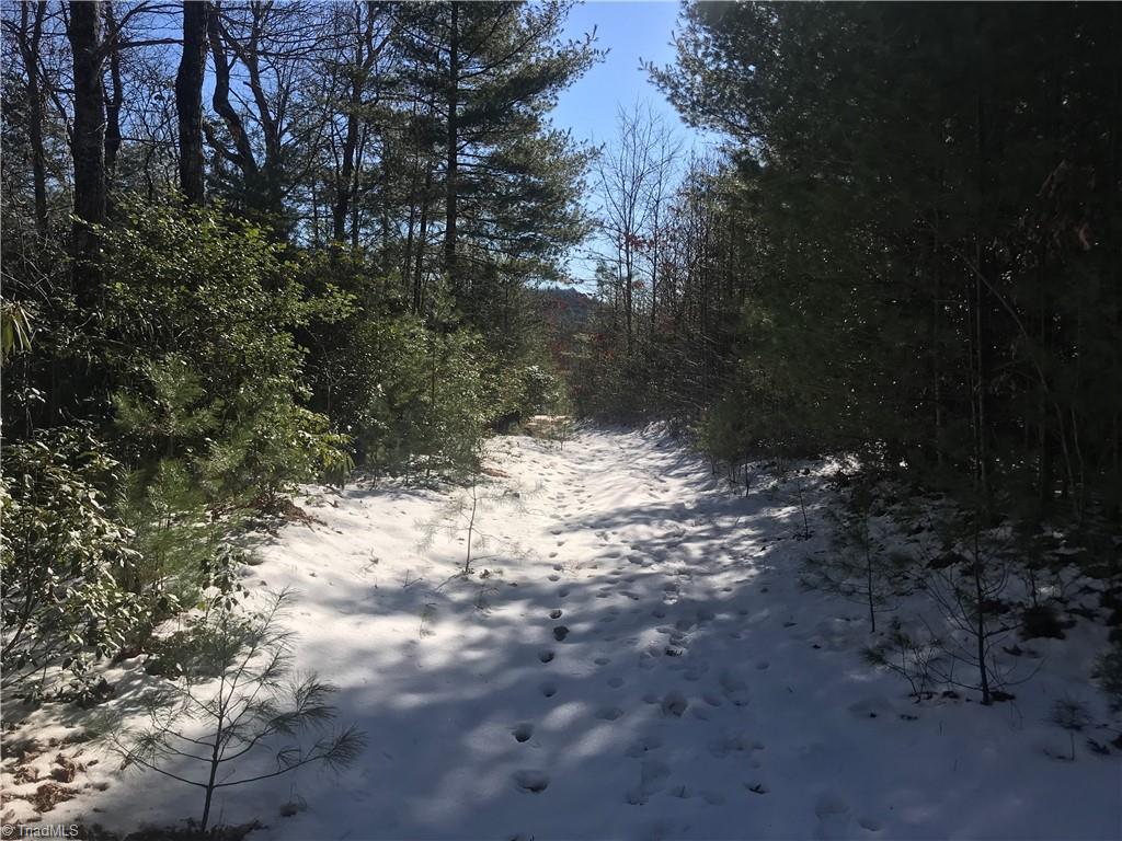 Tbd Fletchers Cove Road Purlear, NC 28665 - Photo 19 of 36