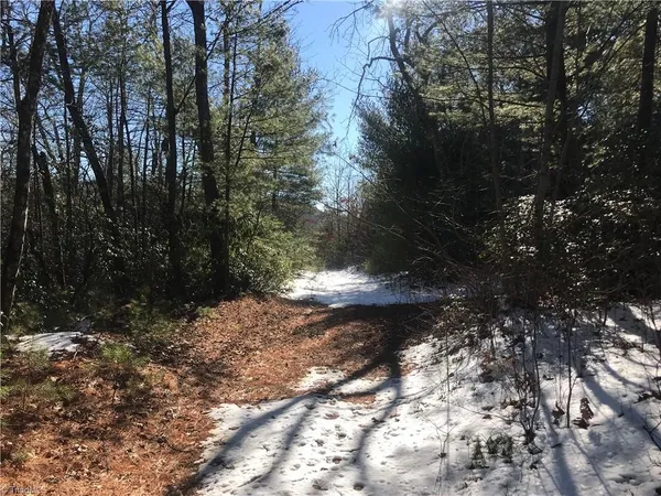 $249,900 | Tbd Fletchers Cove Road, Purlear, NC 28665