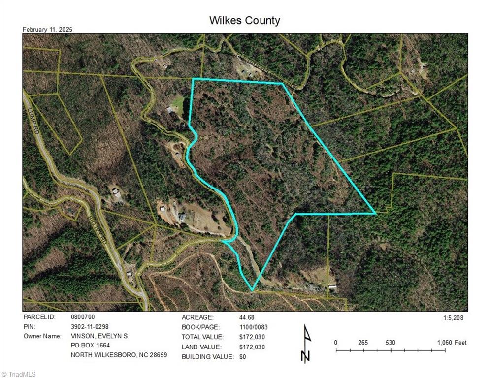 Tbd Fletchers Cove Road Purlear, NC 28665 - Photo 21 of 36