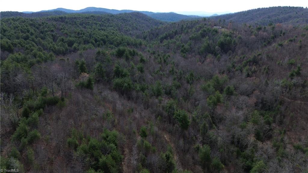 Tbd Fletchers Cove Road Purlear, NC 28665 - Photo 23 of 36