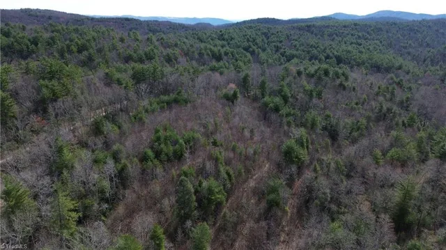 $249,900 | Tbd Fletchers Cove Road, Purlear, NC 28665