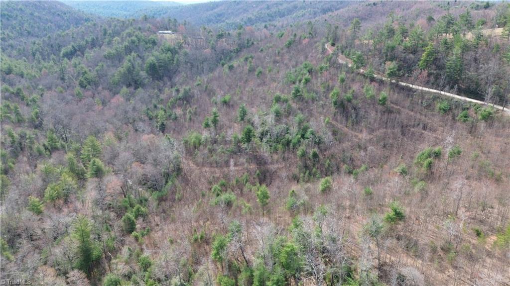 Tbd Fletchers Cove Road Purlear, NC 28665 - Photo 25 of 36