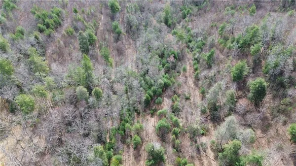 $249,900 | Tbd Fletchers Cove Road, Purlear, NC 28665