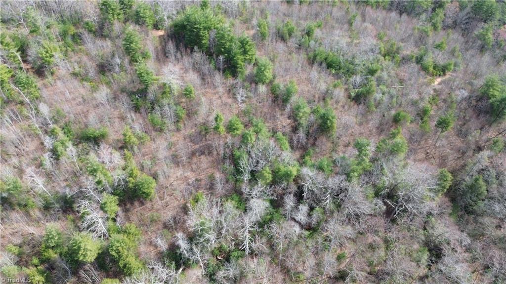 Tbd Fletchers Cove Road Purlear, NC 28665 - Photo 27 of 36