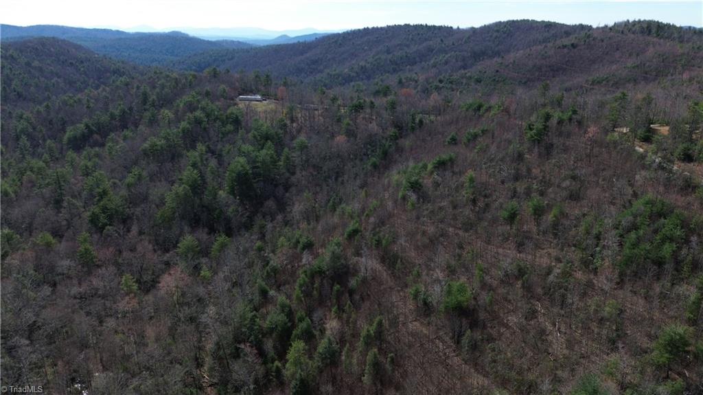 Tbd Fletchers Cove Road Purlear, NC 28665 - Photo 30 of 36