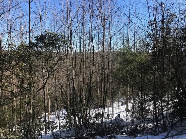 $249,900 | Tbd Fletchers Cove Road, Purlear, NC 28665