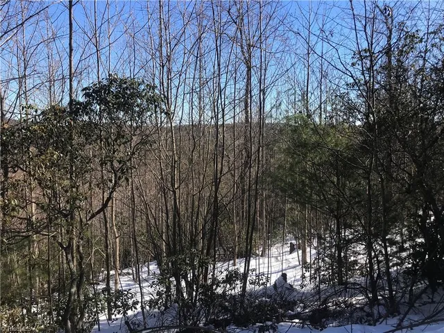 $249,900 | Tbd Fletchers Cove Road, Purlear, NC 28665