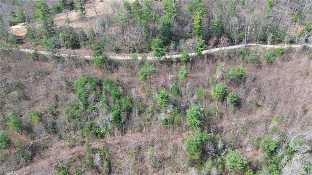 Tbd Fletchers Cove Road Purlear, NC 28665 - Photo 31 of 36