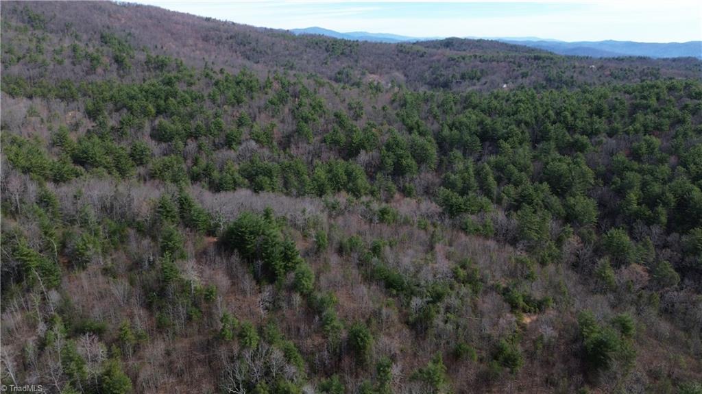 Tbd Fletchers Cove Road Purlear, NC 28665 - Photo 34 of 36