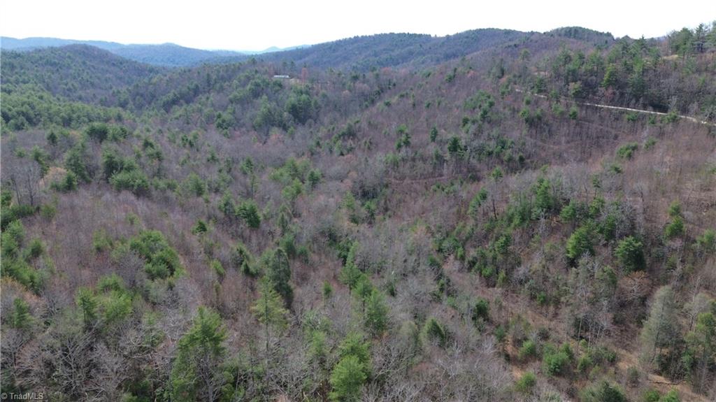 Tbd Fletchers Cove Road Purlear, NC 28665 - Photo 35 of 36