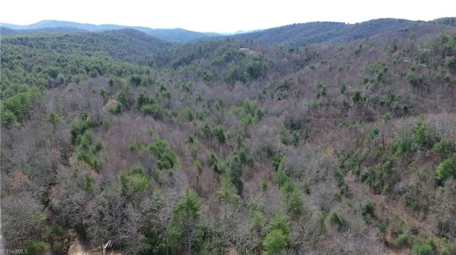 $249,900 | Tbd Fletchers Cove Road, Purlear, NC 28665