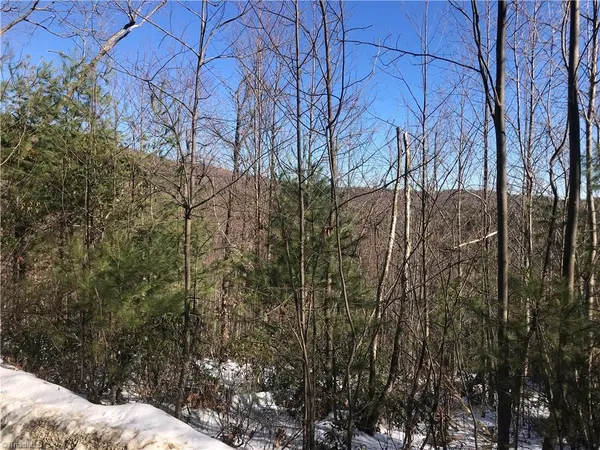 $249,900 | Tbd Fletchers Cove Road, Purlear, NC 28665