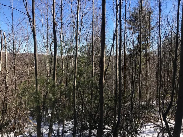 $249,900 | Tbd Fletchers Cove Road, Purlear, NC 28665