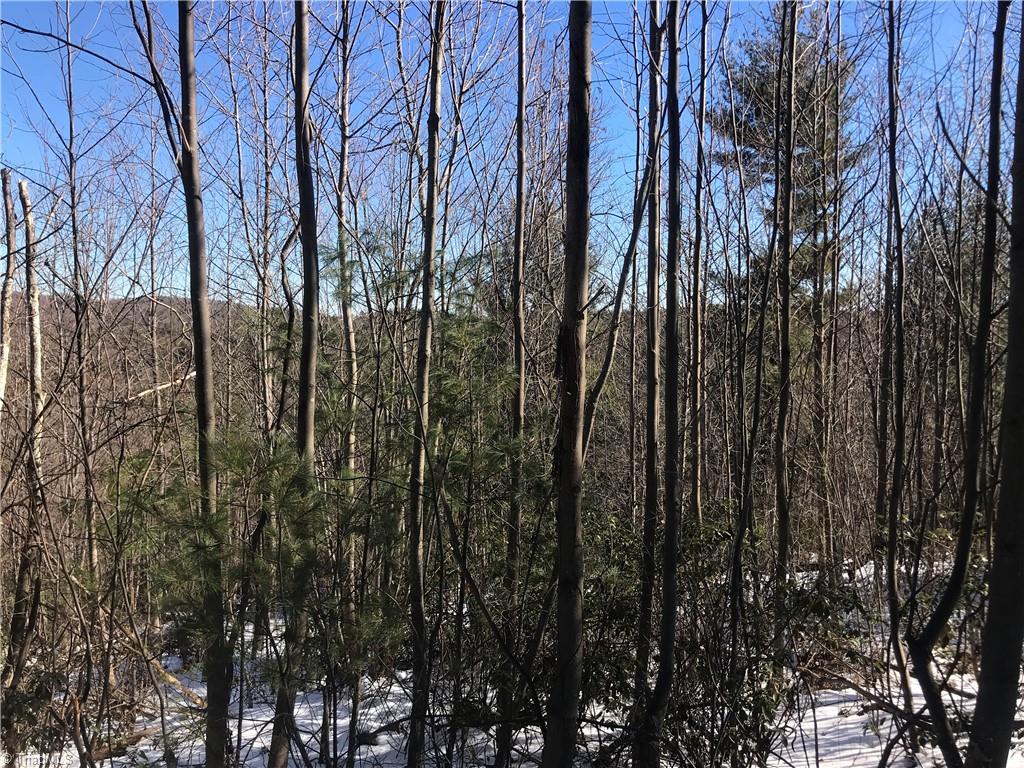 Tbd Fletchers Cove Road Purlear, NC 28665 - Photo 5 of 36