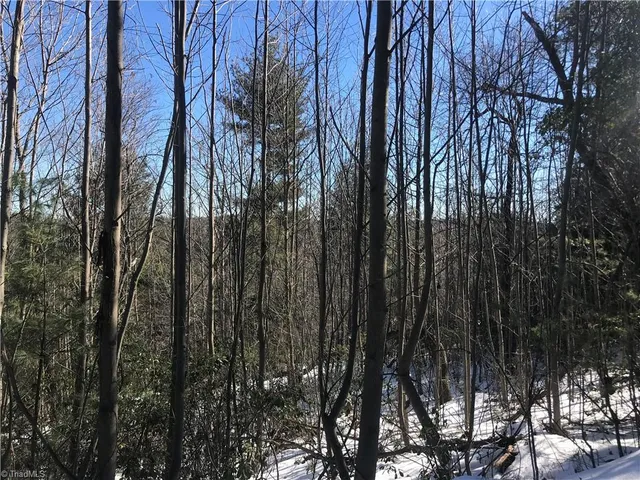 $249,900 | Tbd Fletchers Cove Road, Purlear, NC 28665