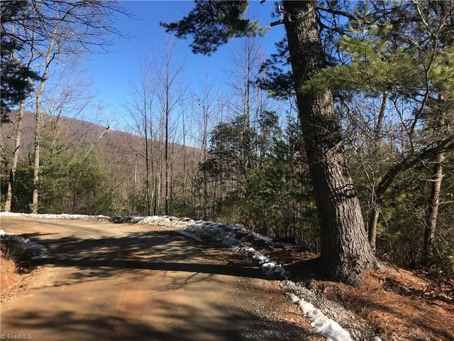 $249,900 | Tbd Fletchers Cove Road, Purlear, NC 28665