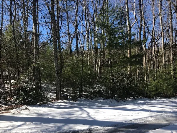 $249,900 | Tbd Fletchers Cove Road, Purlear, NC 28665