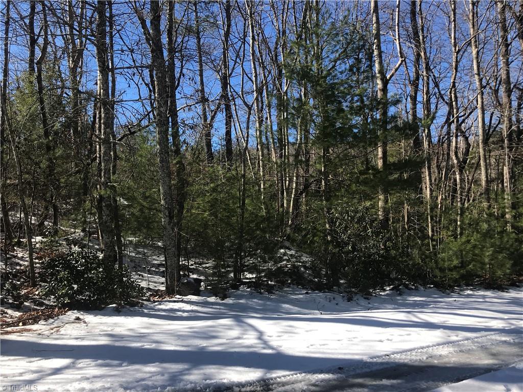 Tbd Fletchers Cove Road Purlear, NC 28665 - Photo 9 of 36