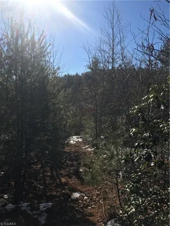 $249,900 | Tbd Fletchers Cove Road, Purlear, NC 28665
