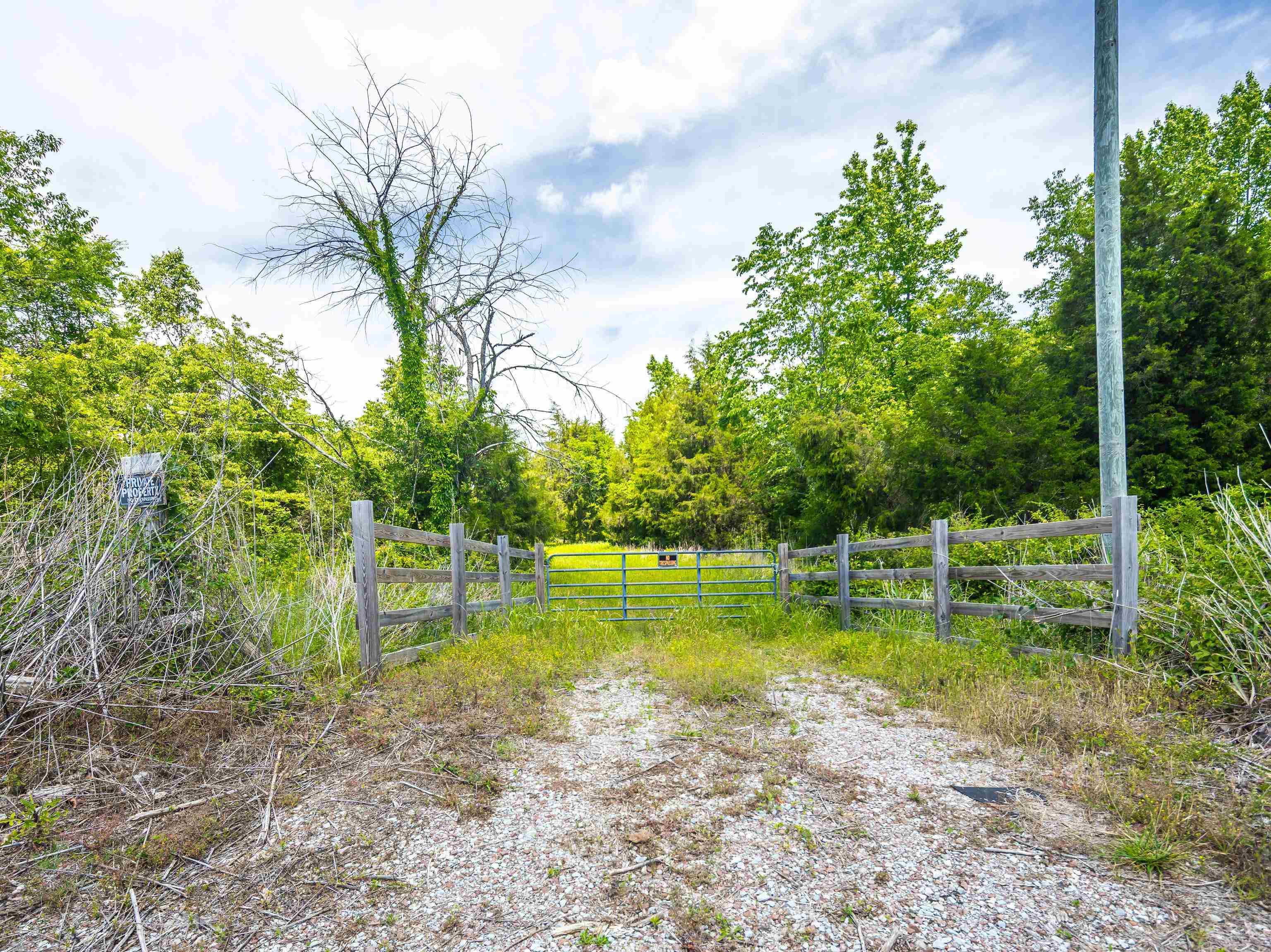 2340 Center Hill Road Finger, TN 38334 - Photo 21 of 21 a view of a backyard with swimming pool