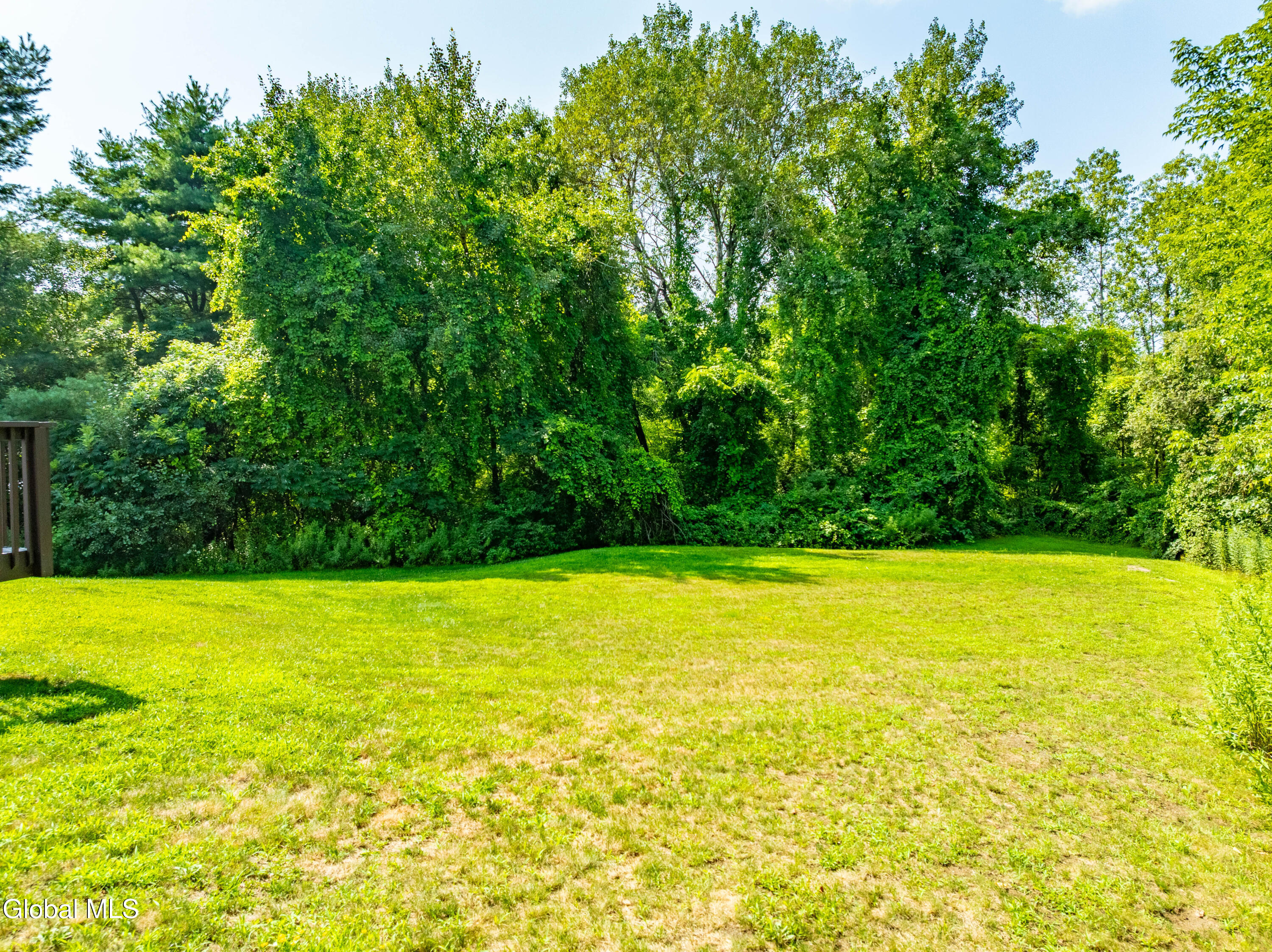114 Stone Quarry Road Halfmoon, NY 12065 - Photo 47 of 55 DJI_0264-HDR