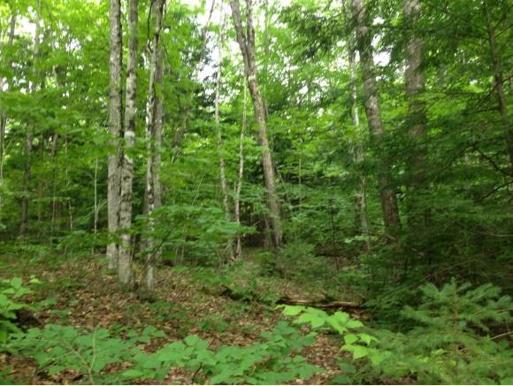 0 Jewett Brook Road Barnet, VT 05821 - Photo 1 of 1 Gallery Image 1